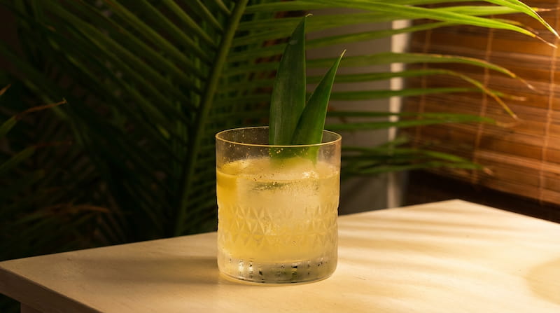 Pina Colda Clarifiée