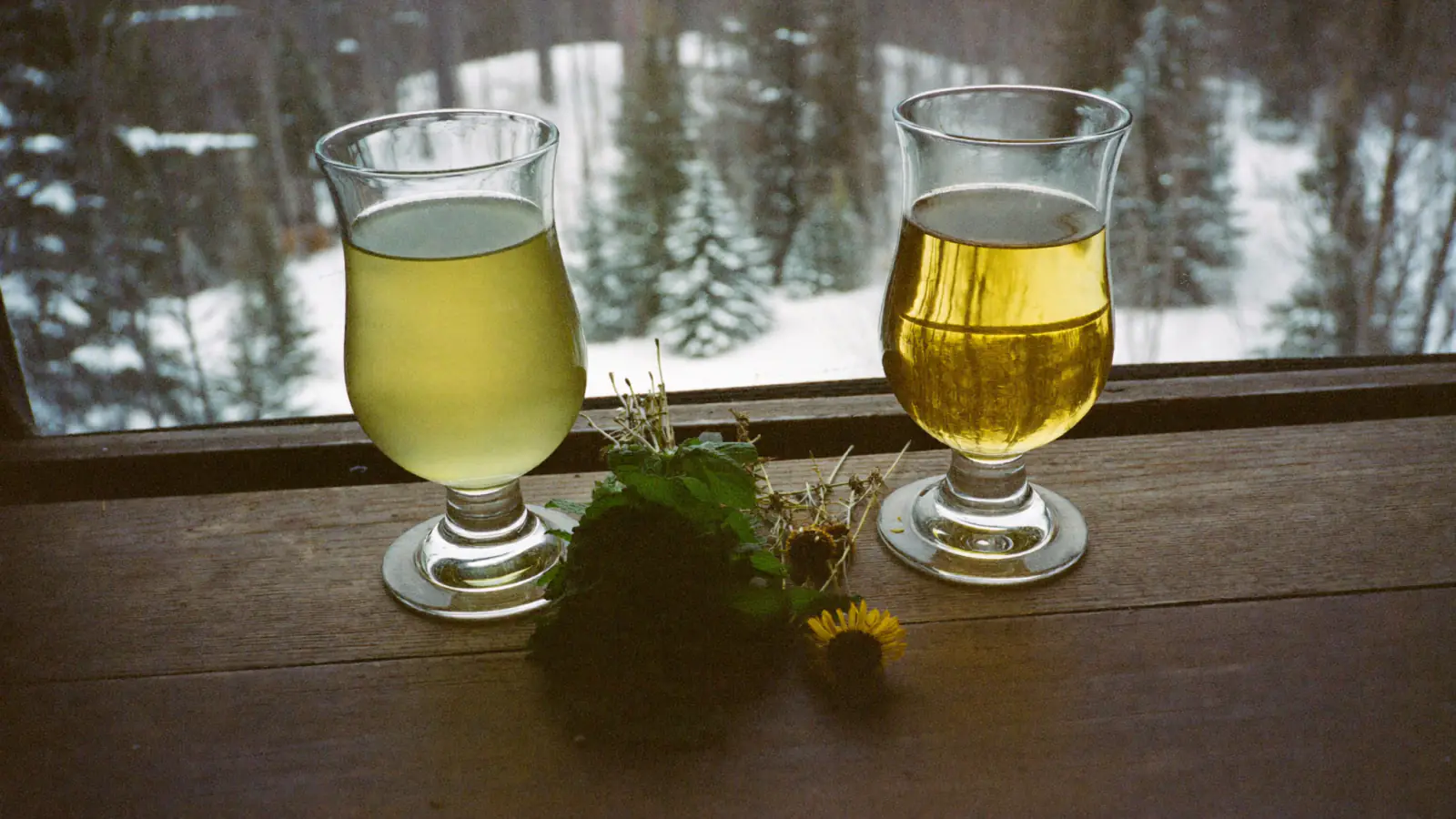Deux verres de Chartreuse, l'un vert pâle et l'autre jaune doré, devant une fenêtre donnant sur une forêt enneigée