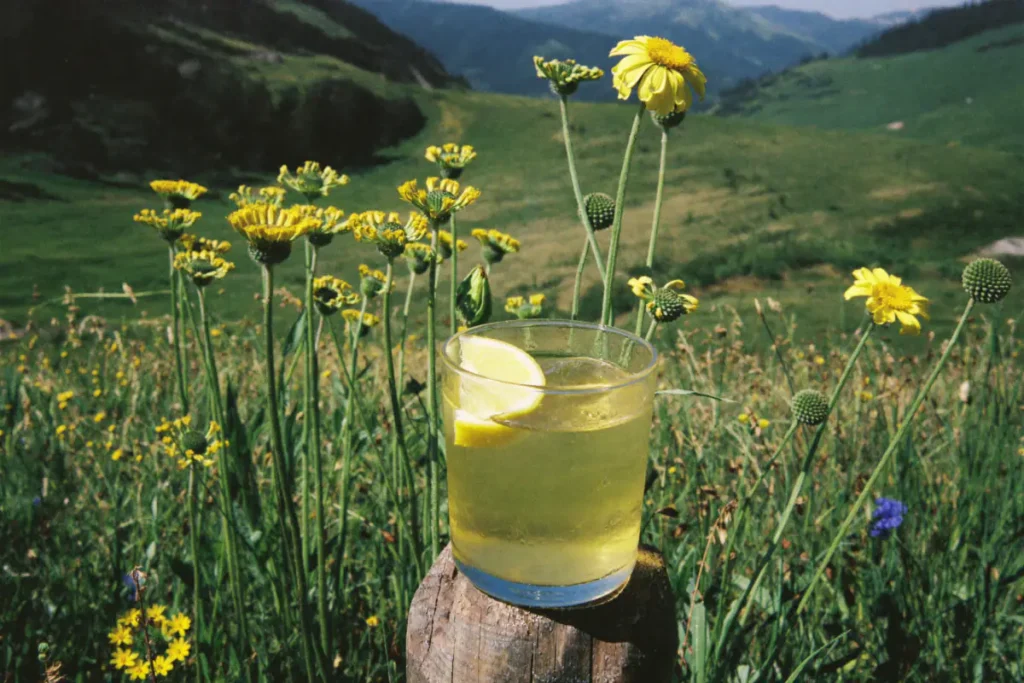 Verre d'apéritif à la gentiane sur glace avec un quartier de citron, posé sur un piquet dans un pré de montagne fleuri