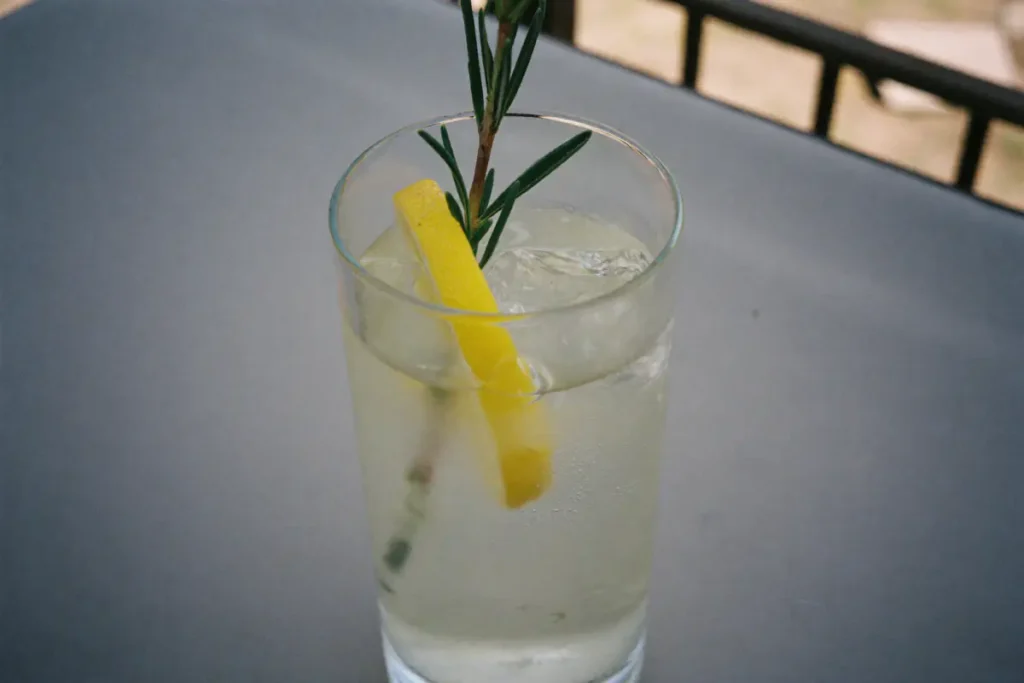 Vermouth tonic avec glaçons, citron et romarin